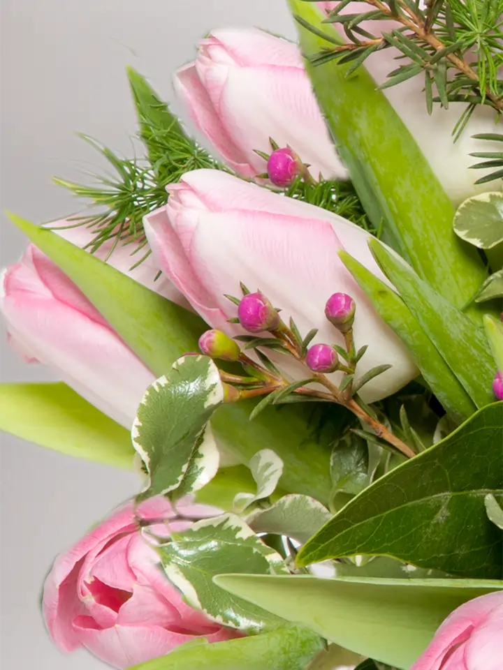 Particolari di un bouquet di tulipani rosa